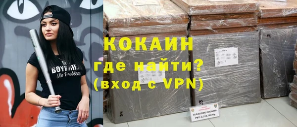 дживик Абинск