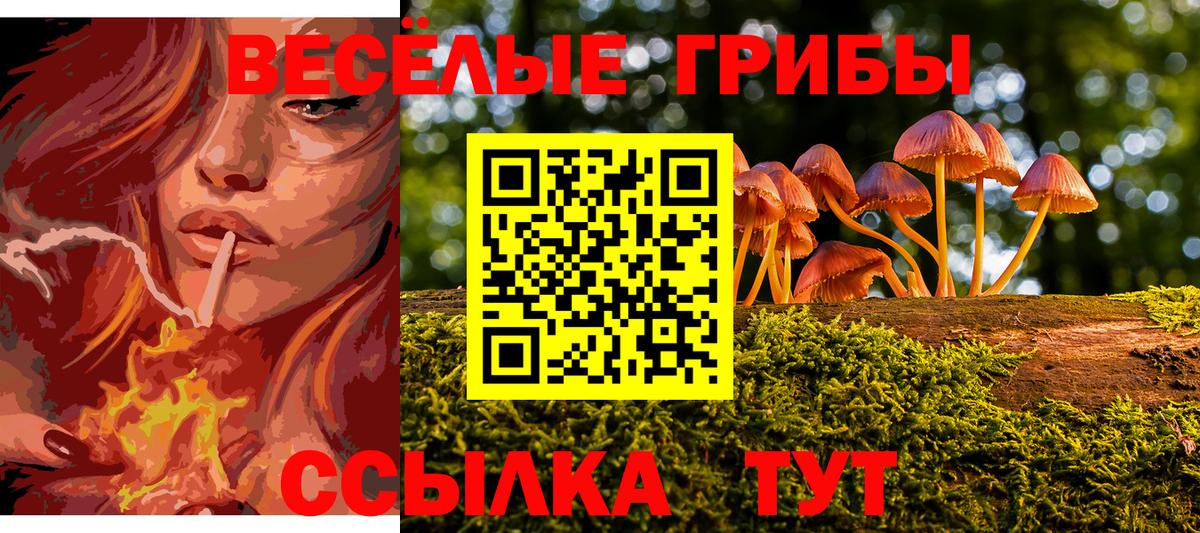 Псилоцибиновые грибы Psilocybe  Псилоцибиновые грибы Cubensis  Вход с VPN  Торжок 