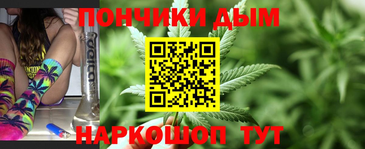 Каннабис планчик  Вход с VPN  Канабис гибрид  Торжок 